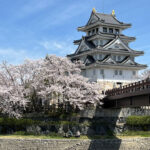 墨俣一夜城は桜の名所！駐車場や歴史をご紹介