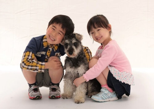 「マルモのおきて」に出演する芦田愛菜さん