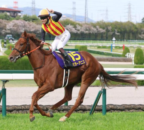 スターアニスに騎乗し桜花賞を制した松山弘平騎手 