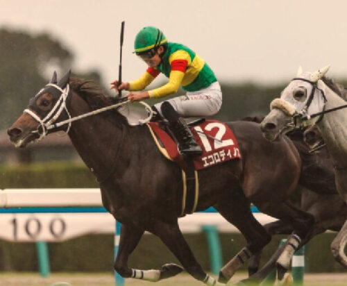 京都大賞典で勝利した田口貫太騎手
