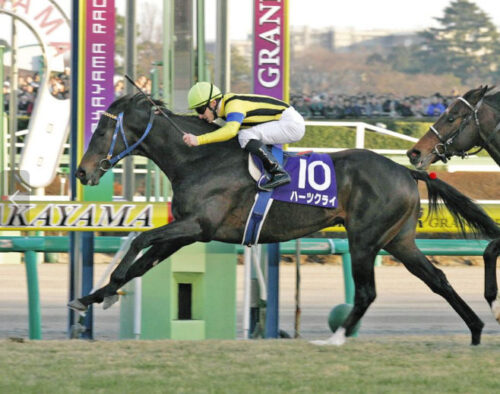 有馬記念を制したハーツクライとルメール騎手